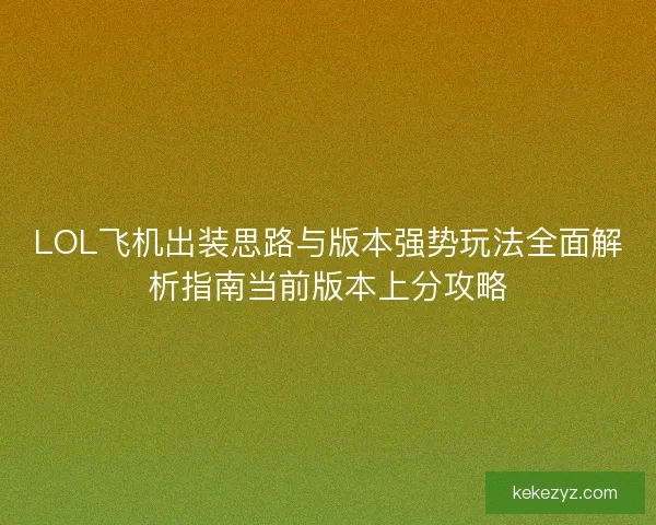 LOL飞机出装思路与版本强势玩法全面解析指南当前版本上分攻略
